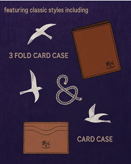 Three fold card case campaign card
